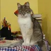 Отзыв от Ксения Бочарова
